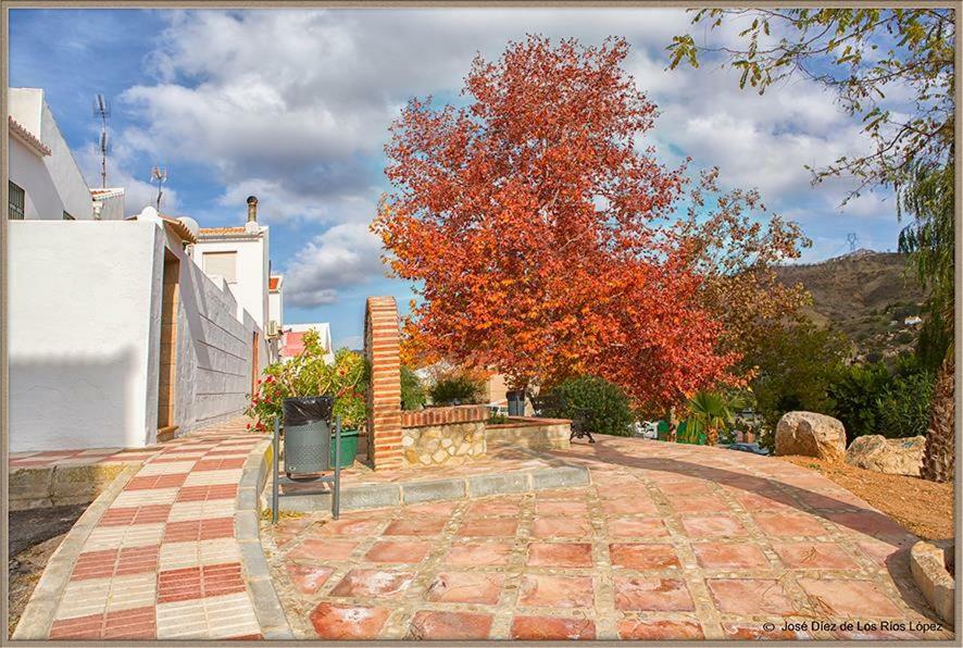 Casa Angelita Caminito Del Rey, Duplex Con Terraza En El Centro De Andalucia Pension Valle de Abdalagís Buitenkant foto